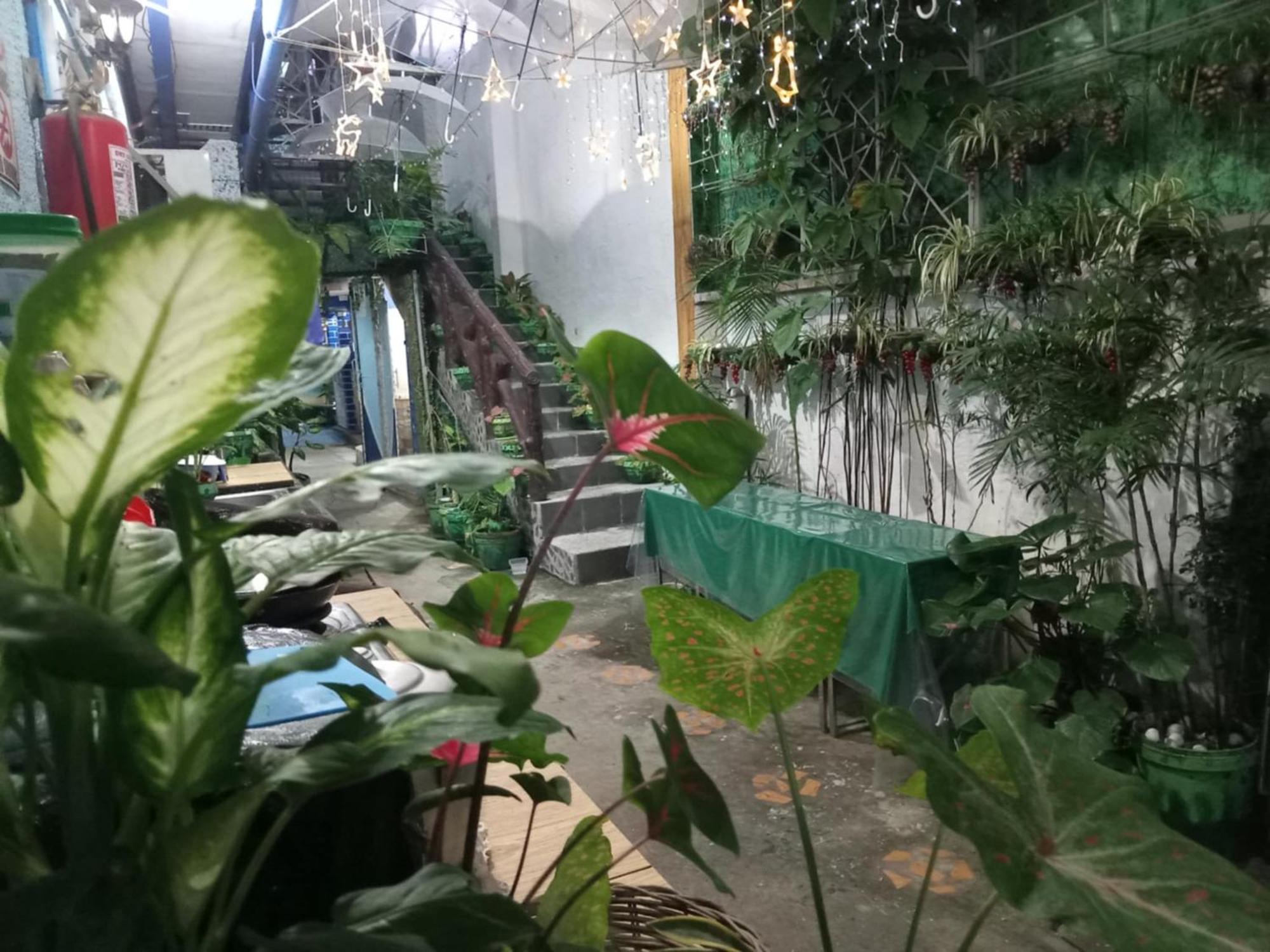 Daniela'S Place Анхелес Экстерьер фото
